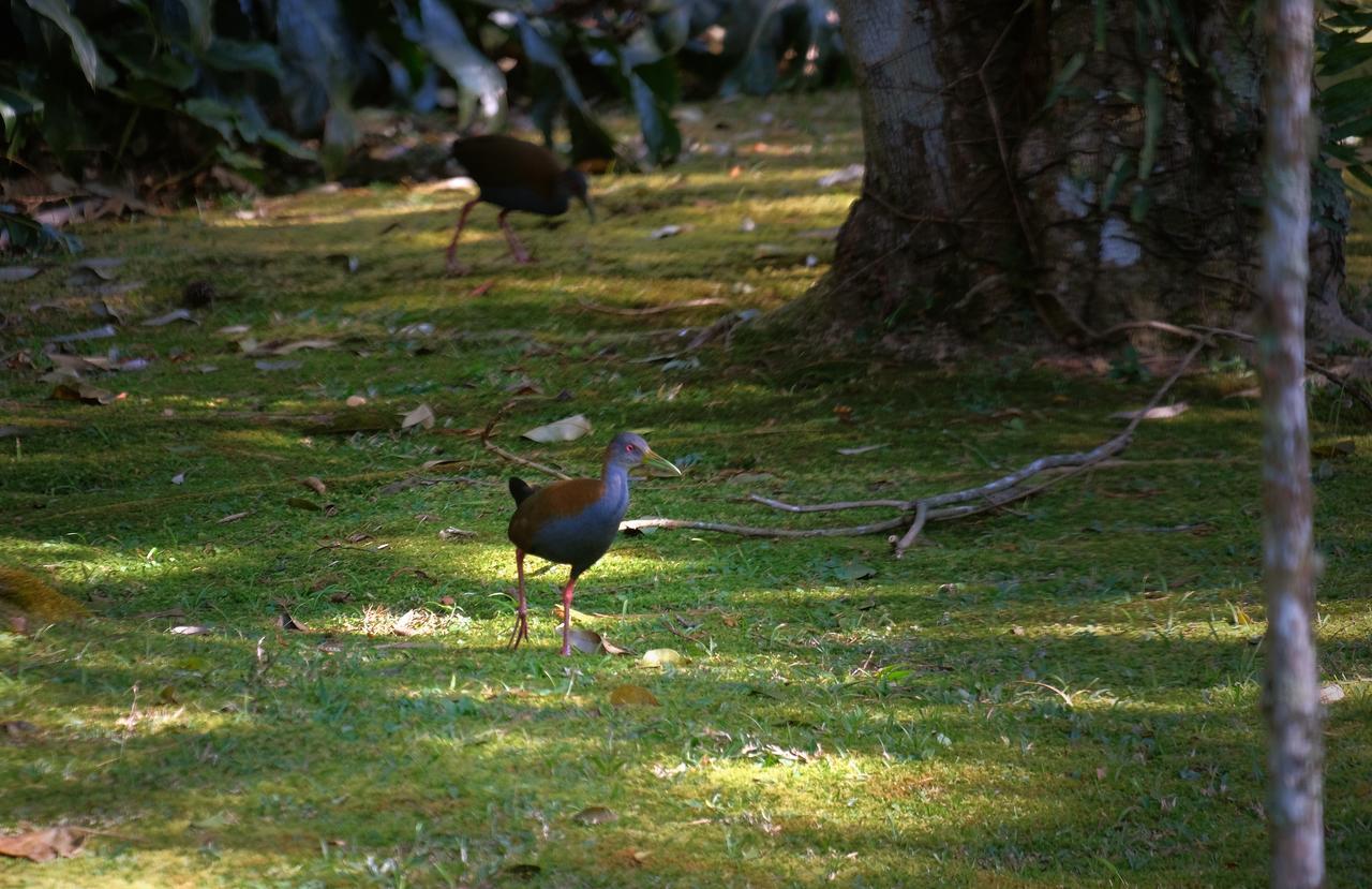 Hotel Refazenda Visconde De Maua Luaran gambar